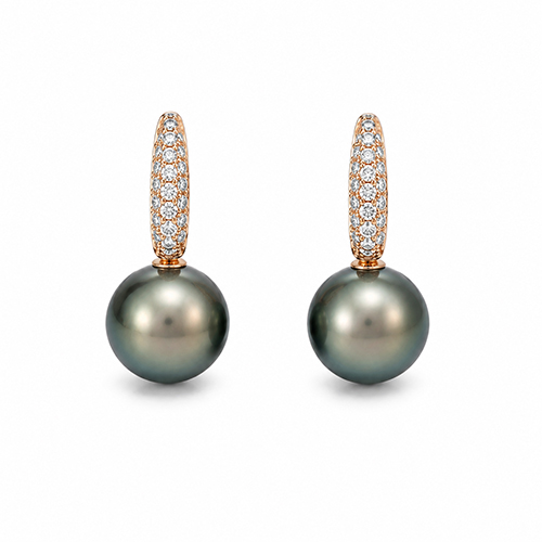 18K South Sea Pearl & Diamond Earrings